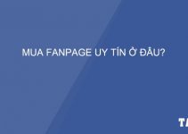 mua-ban-fanpage-facebook-gia-re-uy-tin-2018-TAIDV.COM