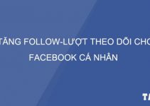 cach-tang-follow-luot-theo-doi-cho-facebook-ca-nhan-taidv.com
