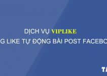 tang-like-bai-post-facebook-dich-vu-viplike-taidv.com